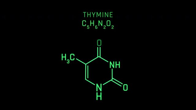 Thymine or T or Thy Molecular Structure Symbol Neon Animation on black background