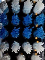 toothbrush bristles close-up macro picture