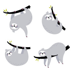 Set of cute hand drawn sloths hanging on the tree. Lazy animal characters. Jungle animal collection. Design for t shirt print, greeting card, poster. Hand drawn vector illustration.