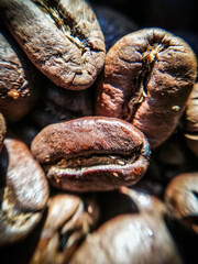 Group of coffee beans