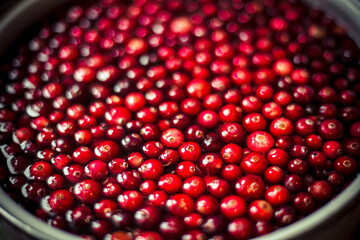 cranberry