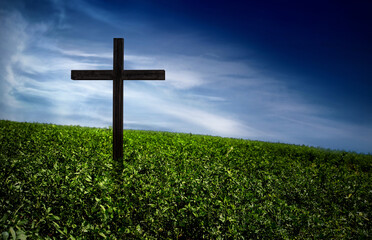 religious cross in the middle of an alfalfa field