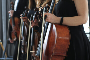 Violin and cello, string quartet at a musical concert © Лилия Заря