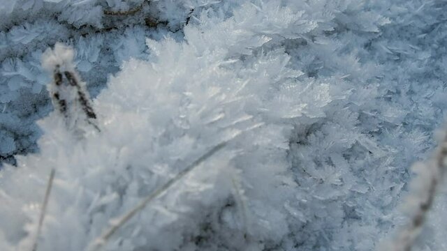 Close-up view of dry grass in severe frost covered with ice crystals that look like snowflakes at sunset in forest. Beautiful nature background. Winter weather forecast theme.