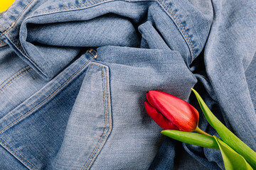 Crumpled blue jeans with tulip with copy space. Sewing production. Second hand. Tidying up the wardrobe. Stylist consultation. Comfortable casual style. Certificate to clothing store. Washing rules