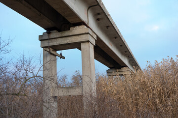 Bridge over a reed-covered river