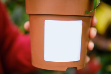 Hand holds flower pot with label, copy space for text