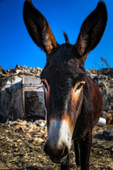 Erinnerungen an Rhodos