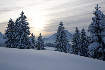 Fototapeta na wymiar Coucher de soleil alpin - Suisse en hiver 