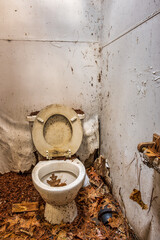 trashed toilet in white room with tree leaves - 408128294