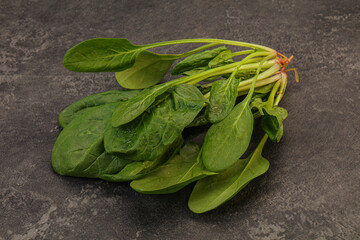 Fresh green Spinach leaves heap
