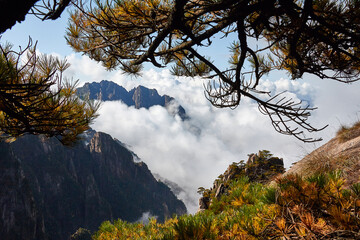 Yellow Mountain - Huangshan