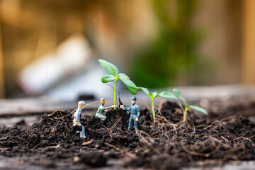 Miniature people : Nature exploration team is planting trees for a green world project. (We plant trees for a better world)