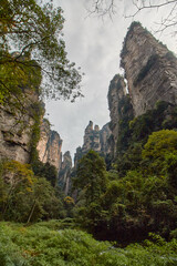 Zhangjiajie - Avatar Mountain