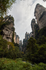 Fototapeta na wymiar Zhangjiajie - Avatar Mountain