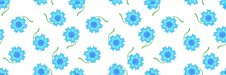 Seamless pattern in cartoon style. Field flower cornflower. Vector illustration.