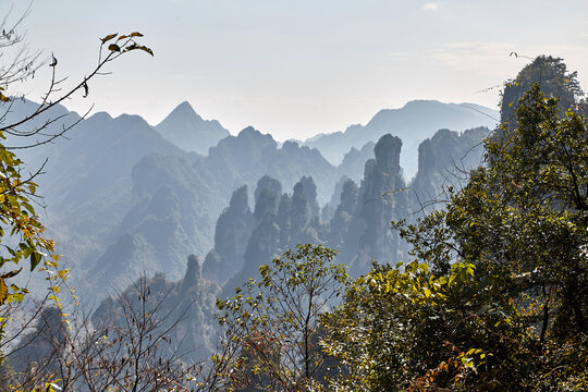 Zhangjiajie - Avatar Mountain