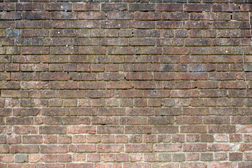 Brick wall in natural color background.