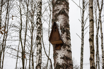 birdhouses for birds of different shapes and sizes in the winter forest