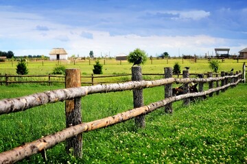 fence in field