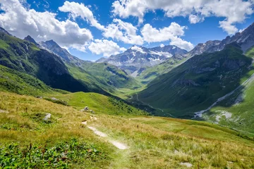 Fotobehang Alpine glaciers and mountains landscape in French alps. © daboost