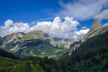 Mountain and pastures landscape in French alps