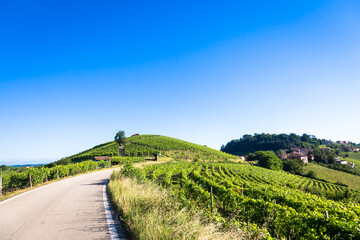 Fototapeta na wymiar Piedmont hills in Italy with scenic countryside, vineyard field and blue sky