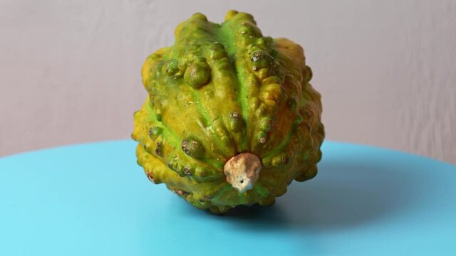 small cute decorative pumpkins on table