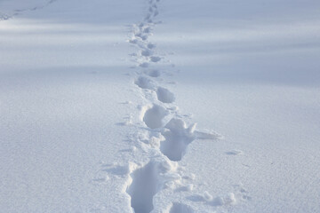 Fußspuren im Tiefschnee