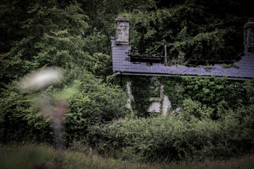 bridge over the river