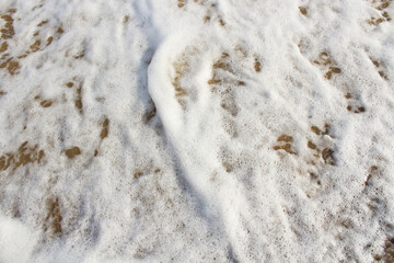 White foam on the seashore. Top view. Background. Texture.