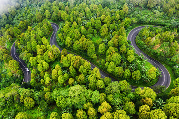 Aerial view on road in the forest. Highway throu the forest. View from a drone. Natural landscape in summer time from air. Travel and vacation image