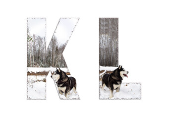 Font, letter K, L with a dog in the woods
