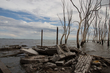 Lago con árboles en ruinas de Epecuen, Buenos Aires.