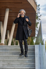 Fototapeta premium Confident bearded grey-haired businessman with smartphone moving downstairs