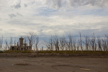 Lago con &aacute;rboles en ruinas de Epecuen, Buenos Aires.