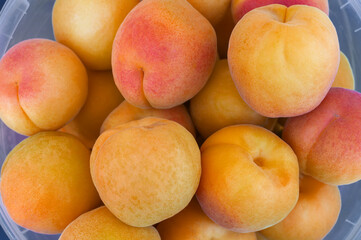 Fototapeta na wymiar Background of many ripe apricots. Top view.