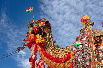Beautiful amusing decorated Camel with Indian flags on Bikaner Camel Festival in Rajasthan, India