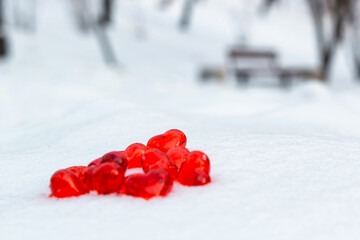Closeup set of small bright red glass hearts on powdery snow of snowdrift at cold winter day in park, symbol of romantic love, St. Valentine's Day holiday concept, low angle shoot