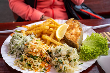 Fried fish with fries and vegetable salad