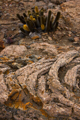 Isla Bartolome, Islas Galapagos, Ecuador, America
