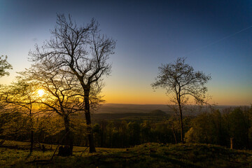 Fototapeta premium Sonnenuntergang mit Bäumen im Vordergrund 