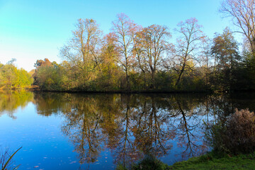 Fototapeta na wymiar Beautiful pastoral view from Vondelpark in Amsterdam, Netherlands. Autumn trees and their reflections on the lake. 