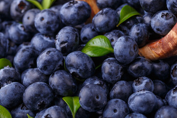 Fresh blueberry background. Blueberry Texture Close Blueberry Antioxidant Organic Superpeed Bowl Concept Healthy Nutrition