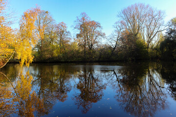 Obraz premium Beautiful pastoral view from Vondelpark in Amsterdam, Netherlands. Autumn trees and their reflections on the lake. 
