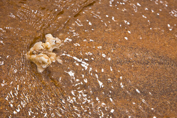Parque Nacional Islas Galapagos, Ecuador, America