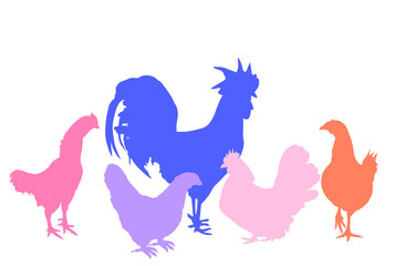 Elegant Rooster and chickens vector silhouette illustration isolated on white background. Male chicken and hen. Farm chantry cock.  Organic food symbol. Poultry bird family.