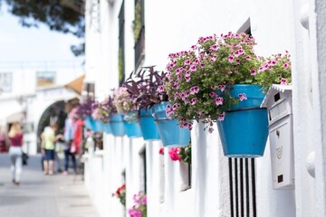 Blue flowerpots in a row on a white wall in an andalusian old town Mijas - obrazy, fototapety, plakaty