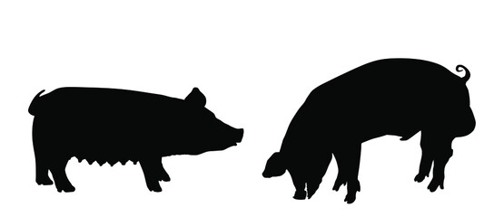 Boar and sow, male and female pig vector silhouette isolated on white background. Pork meat. Butcher shop wallpaper, poster. Spawn farm animal symbol. Domestic swine. Breeding boar. Organic food.