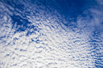 clouds in the blue sky, nature, environment and meteorology